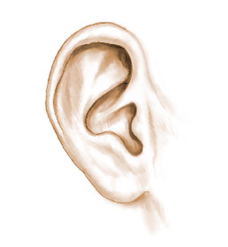 chirurgie oreilles décollées
